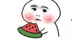 暗中吃瓜知乎免费阅读,暗中吃瓜，免费阅读背后的秘密